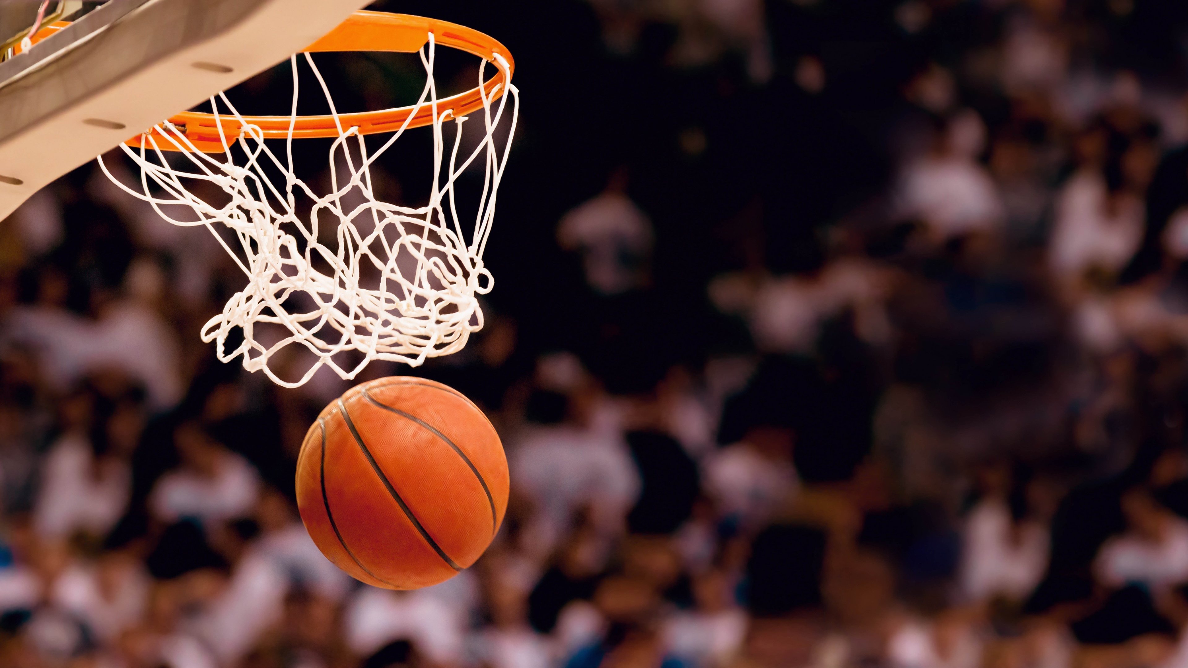 当辽宁广东的肉搏战撞上拉文的纪录夜,CBA和NBA的内卷终于同步了